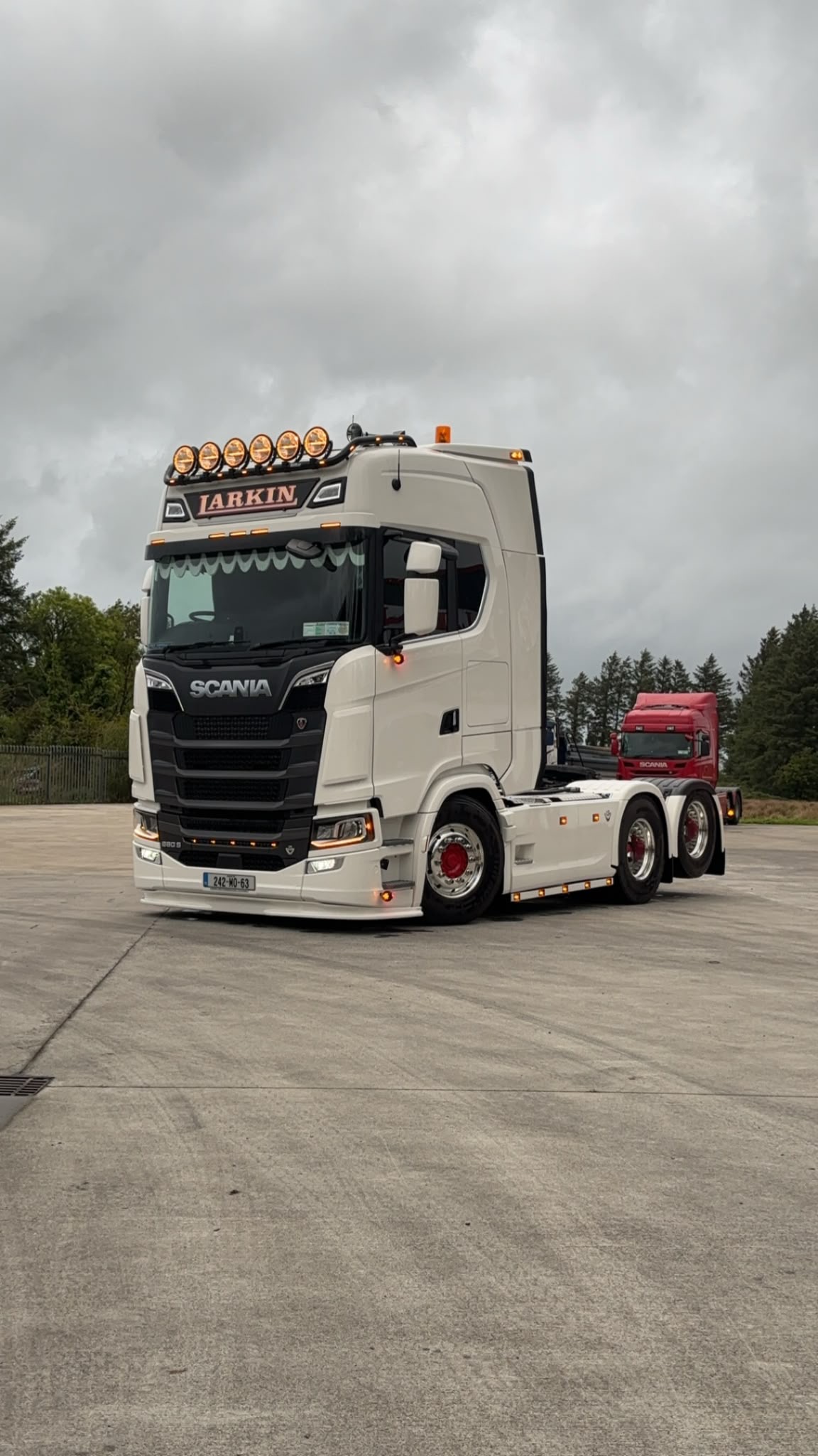 White DAF truck with a red chassis